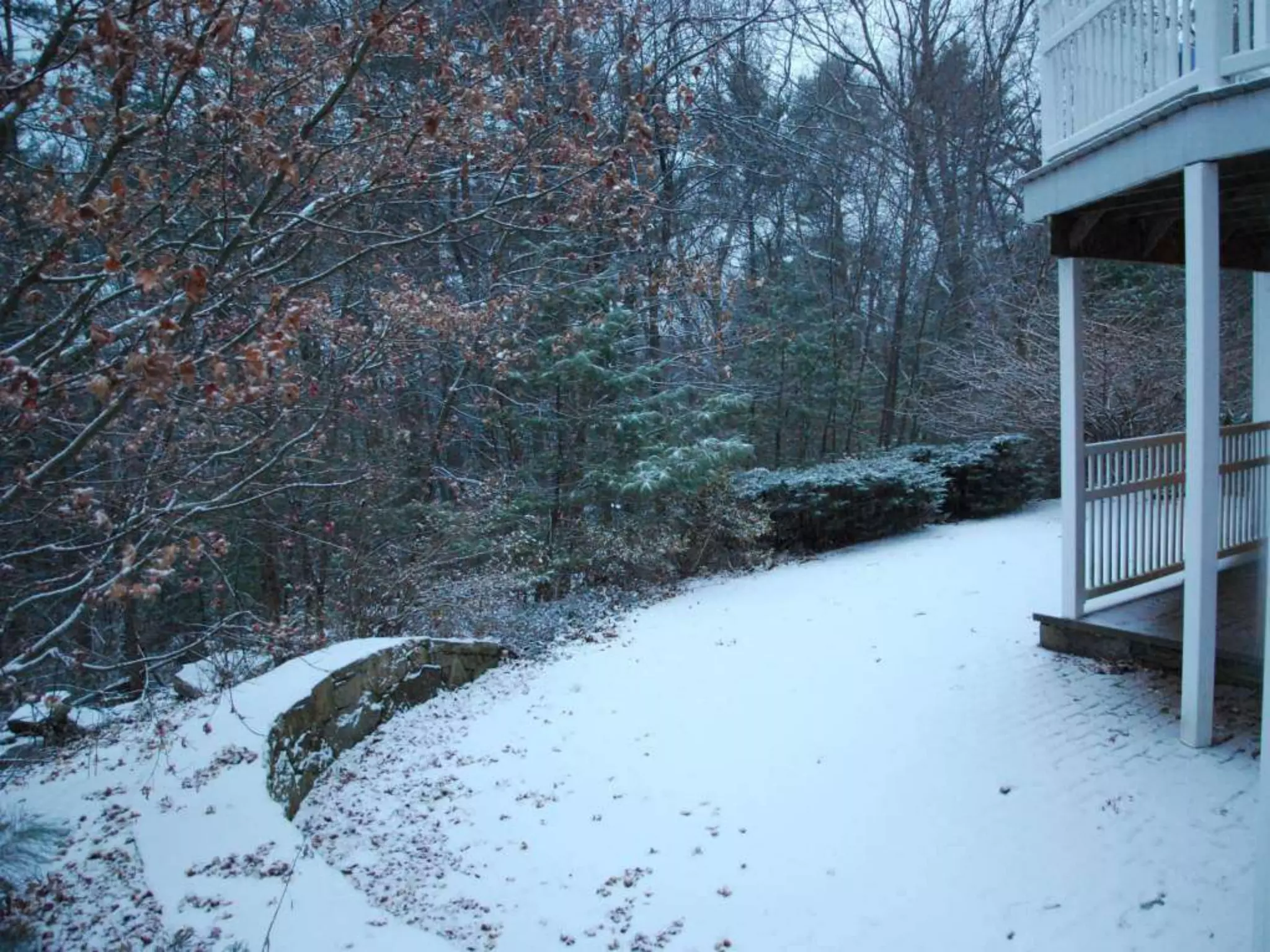 Fog frost & (nx power lite)