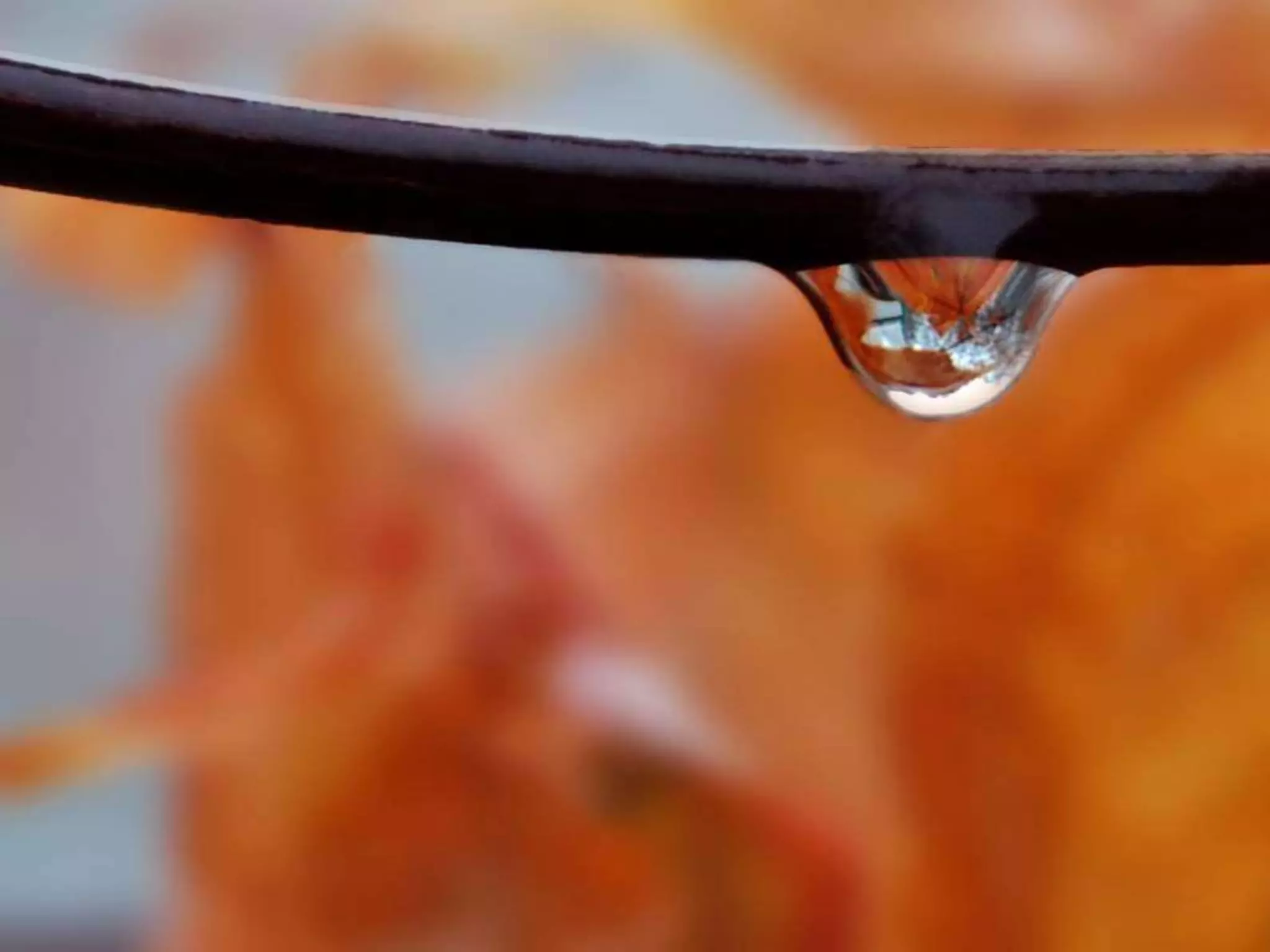 Fog frost & (nx power lite)