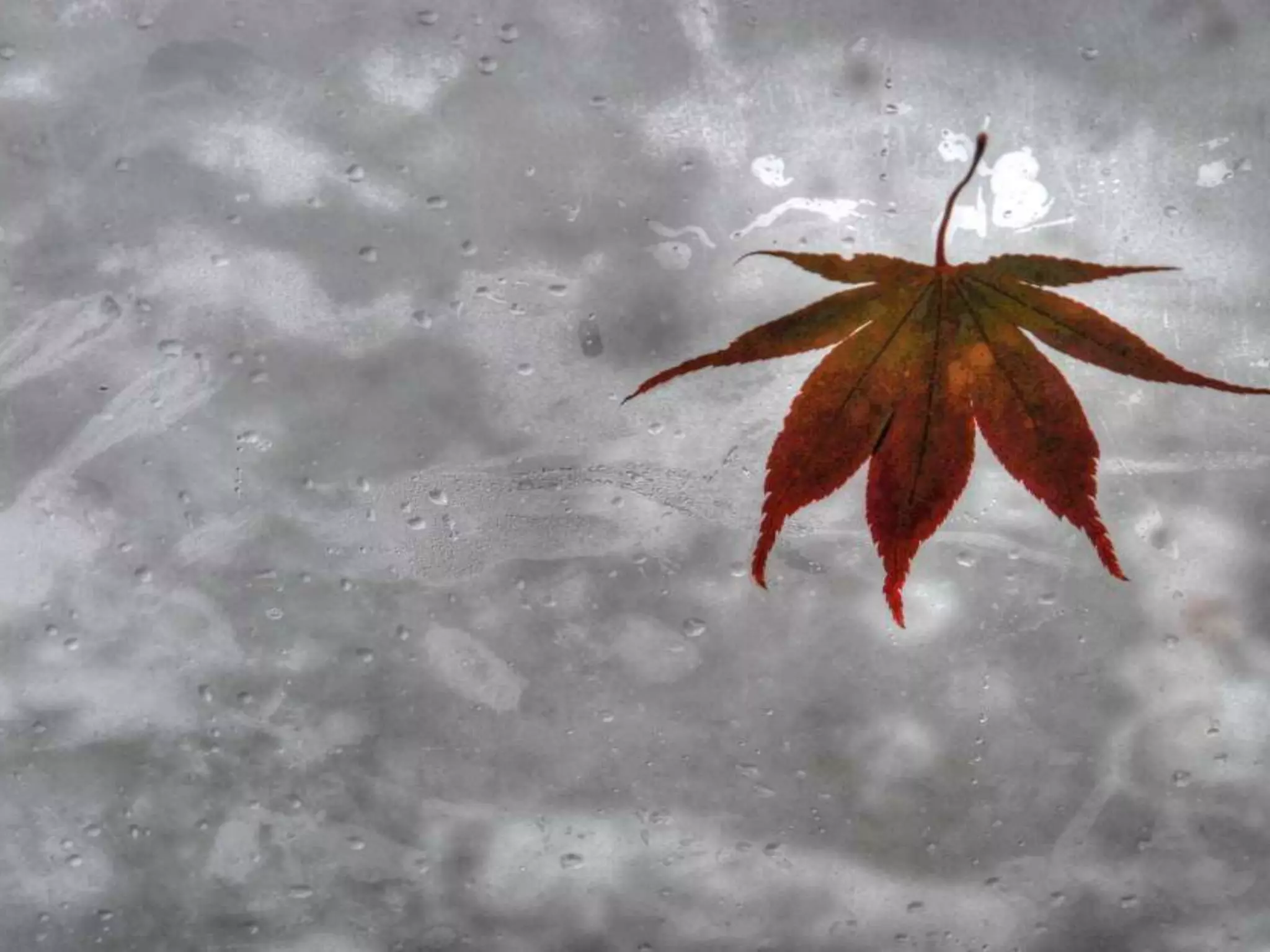 Fog frost & (nx power lite)