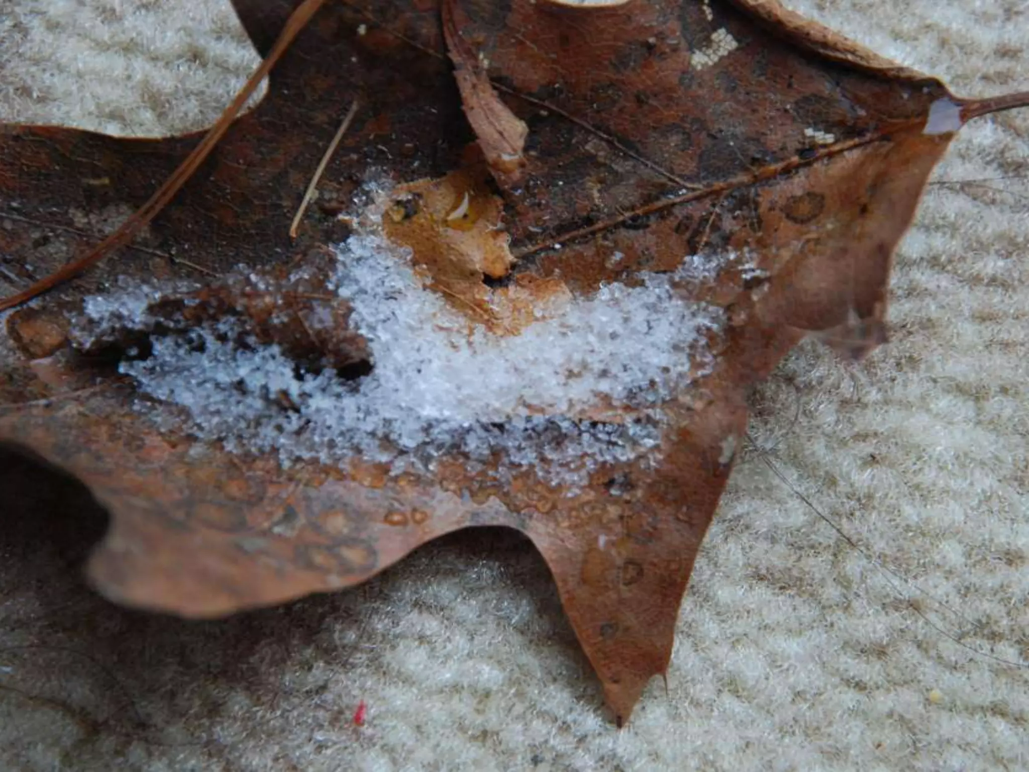 Fog frost & (nx power lite)