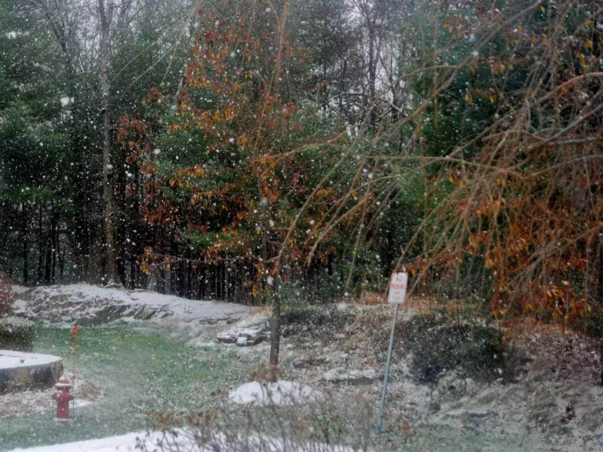 Fog frost & (nx power lite)