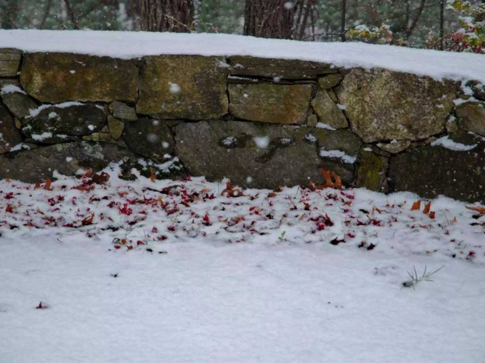 Fog frost & (nx power lite)