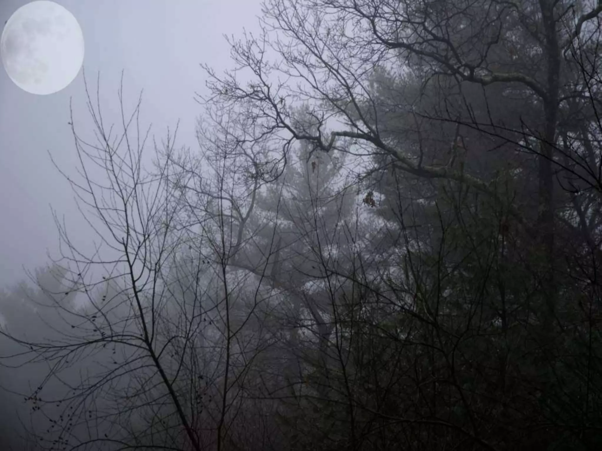 Fog frost & (nx power lite)