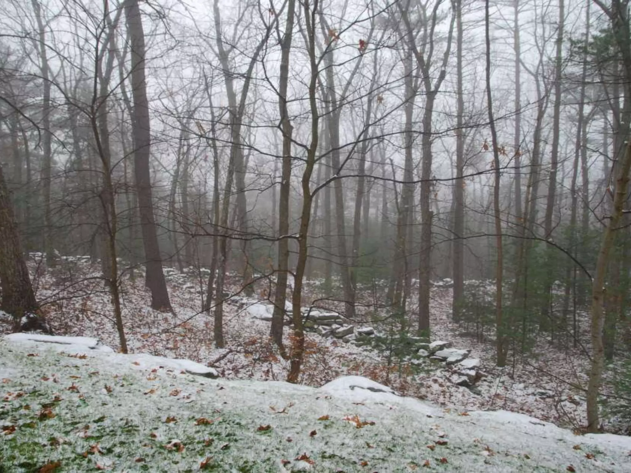 Fog frost & (nx power lite)