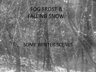 FOG FROST &
 FALLING SNOW.



SOME WINTER SCENES
 