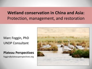 Wetland conservation in China and Asia:
Protection, management, and restoration
Marc Foggin, PhD
UNDP Consultant
Plateau Perspectives
foggin@plateauperspectives.org
 