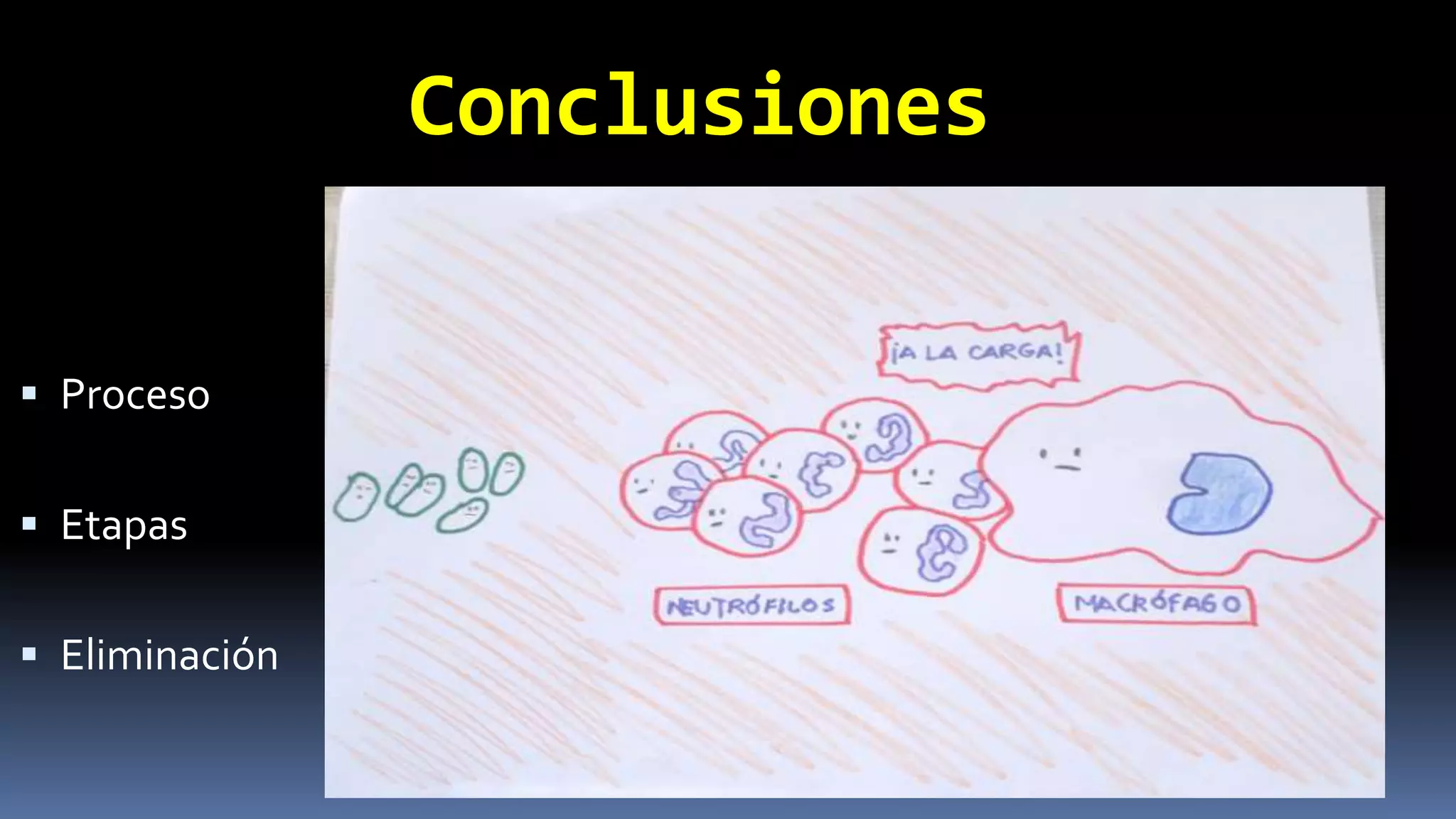 Conclusiones
Proceso
Etapas
Eliminación