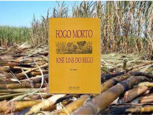 Fogo Morto - Apresentação