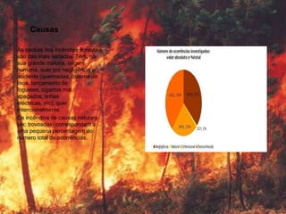 Causas

As causas dos incêndios florestais
são das mais variadas. Têm, na
sua grande maioria, origem
humana, quer por negligência e
acidente (queimadas, queima de
lixos, lançamento de
foguetes, cigarros mal
apagados, linhas
eléctricas, etc), quer
intencionalmente.
Os incêndios de causas naturais
(ex: trovoadas) correspondem a
uma pequena percentagem do
número total de ocorrências.
 
