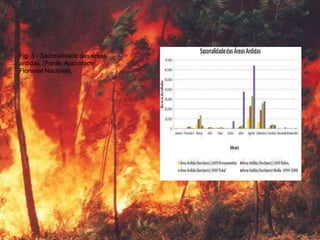 Fig. 3 - Sazonalidade das áreas
ardidas. (Fonte: Autoridade
Florestal Nacional).
 