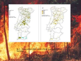 fig. 5 - Áreas ardidas (1990 - 2004). (Fonte: Autoridade Florestal
Nacional).
 