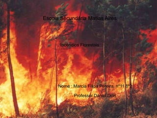 Escola Secundária Matias Aires




       Incêndios Florestais




      Nome : Marcia Filipa Pereira nº11 8º2

              Professor Daniel Dias
 