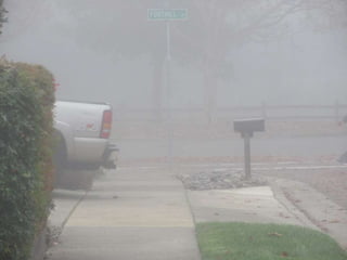 Fog Photos