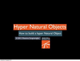 Hyper Natural Objects
                             How to build a hyper Natural Object
                          © 2011 Massimo Scognamiglio




domenica 19 giugno 2011
 