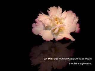 … foi Deus que te aconchegou em seus braços e te deu a esperança. 