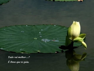 Tudo vai melhor…? É Deus que te guía. 