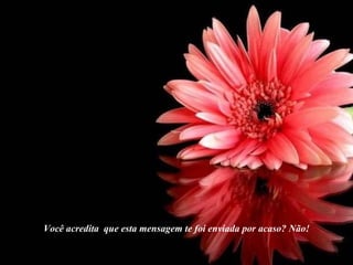 Você acredita  que esta mensagem te foi enviada por acaso? Não! 