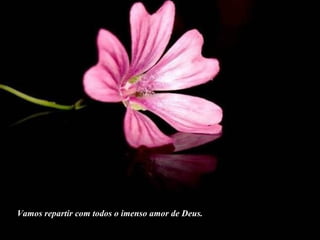 Vamos repartir com todos o imenso amor de Deus. 