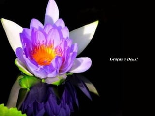 Graças a Deus! 