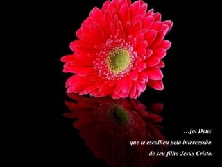 … foi Deus  que te escolheu pela intercessão  de seu filho Jesus Cristo. 
