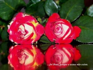 … foi Deus, porque o acaso não existe. 