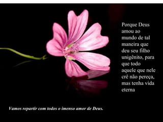 Vamos repartir com todos o imenso amor de Deus. Porque Deus amou ao mundo de tal maneira que deu seu filho unigênito, para que todo aquele que nele crê não pereça, mas tenha vida eterna 