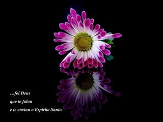 … foi Deus  que te falou  e te enviou o Espírito Santo. 