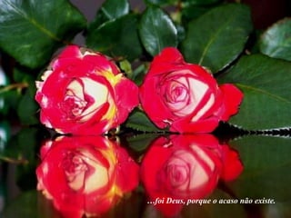 …foi Deus, porque o acaso não existe.
 