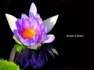 Graças a Deus!
 