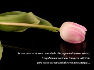 Se te aconteceu de estar cansado da vida, a ponto de querer morrer,
                      E rapidamente sente que tem força suficiente
                  para continuar seu caminho com nova energia…
 