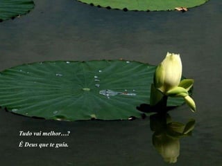 Tudo vai melhor…?
É Deus que te guía.
 