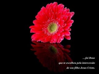 …foi Deus
que te escolheu pela intercessão
      de seu filho Jesus Cristo.
 