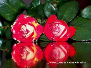 …foi Deus, porque o acaso não existe.
 