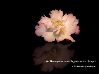 …foi Deus que te aconchegou em seus braços
e te deu a esperança.
 
