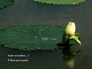 Tudo vai melhor…?
É Deus que te guía.
 