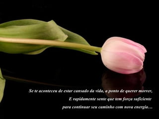 Se te aconteceu de estar cansado da vida, a ponto de querer morrer, E rapidamente sente que tem força suficiente  para continuar seu caminho com nova energia… 
