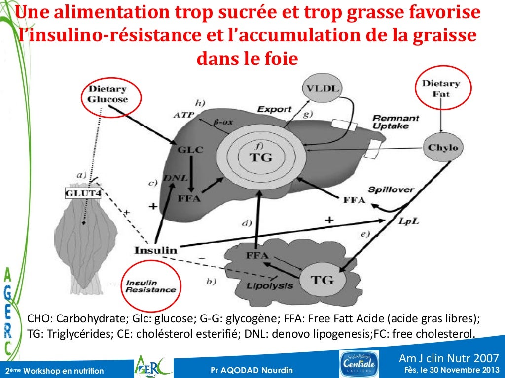Foie gras non alcoolique et nutrition