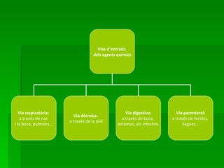 Vies d’entrada
                                     dels agents químics




   Via respiratòria:                                 Via digestiva:         Via parenteral:
                          Via dèrmica:
    a travès de nas                                a travès de boca,      a través de ferides,
                        a travès de la pell
i la boca, pulmons...                            estómac, els intestins         llagues...
 