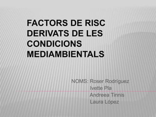 NOMS: Roser Rodríguez
Ivette Pla
Andreea Tinnis
Laura López
FACTORS DE RISC
DERIVATS DE LES
CONDICIONS
MEDIAMBIENTALS
 