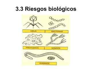 3.3 Riesgos biológicos
 