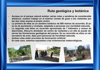 Ruta geológica y botánica
• Aunque en el parque natural existen varias rutas y senderos de considerable
distancia, nuestro trabajo en el exterior consta de guiar a los visitantes por
las dos rutas anexas al propio centro.
• La primera de ellas es un sendero botánico de 800 metros de recorrido. El pi-
so es de pavimento y nivelado, adaptado a personas con movilidad reducida.
• La segunda ruta tiene un recorrido aproximado de 1 kilómetro y carece de
desniveles. Discurre alrededor de centro de visitantes y en ella se puede ob-
servar las formaciones geológicas del parque. En su recorrido se sitúa un ob-
servatorio de aves. Apta para personas de movilidad reducida.
• Ambas rutas están provistas de iluminación artificial.
• En este caso, estamos expuestos a las inclemencias meteorológicas.
 