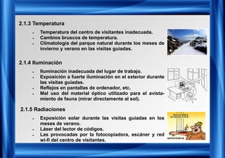 2.1.3 Temperatura
2.1.4 Iluminación
2.1.5 Radiaciones
• Temperatura del centro de visitantes inadecuada.
• Cambios bruscos de temperatura.
• Climatología del parque natural durante los meses de
invierno y verano en las visitas guiadas.
• Iluminación inadecuada del lugar de trabajo.
• Exposición a fuerte iluminación en el exterior durante
las visitas guiadas.
• Reflejos en pantallas de ordenador, etc.
• Mal uso del material óptico utilizado para el avista-
miento de fauna (mirar directamente al sol).
• Exposición solar durante las visitas guiadas en los
meses de verano.
• Láser del lector de códigos.
• Las provocadas por la fotocopiadora, escáner y red
wi-fi del centro de visitantes.
 