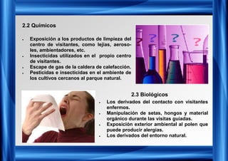 2.2 Químicos
2.3 Biológicos
• Exposición a los productos de limpieza del
centro de visitantes, como lejías, aeroso-
les, ambientadores, etc.
• Insecticidas utilizados en el propio centro
de visitantes.
• Escape de gas de la caldera de calefacción.
• Pesticidas e insecticidas en el ambiente de
los cultivos cercanos al parque natural.
• Los derivados del contacto con visitantes
enfermos.
• Manipulación de setas, hongos y material
orgánico durante las visitas guiadas.
• Exposición exterior ambiental al polen que
puede producir alergias.
• Los derivados del entorno natural.
 