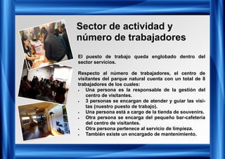 Sector de actividad y
número de trabajadores
El puesto de trabajo queda englobado dentro del
sector servicios.
Respecto al número de trabajadores, el centro de
visitantes del parque natural cuenta con un total de 8
trabajadores de los cuales:
• Una persona es la responsable de la gestión del
centro de visitantes.
• 3 personas se encargan de atender y guiar las visi-
tas (nuestro puesto de trabajo).
• Una persona está a cargo de la tienda de souvenirs.
• Otra persona se encarga del pequeño bar-cafetería
del centro de visitantes.
• Otra persona pertenece al servicio de limpieza.
• También existe un encargado de mantenimiento.
 
