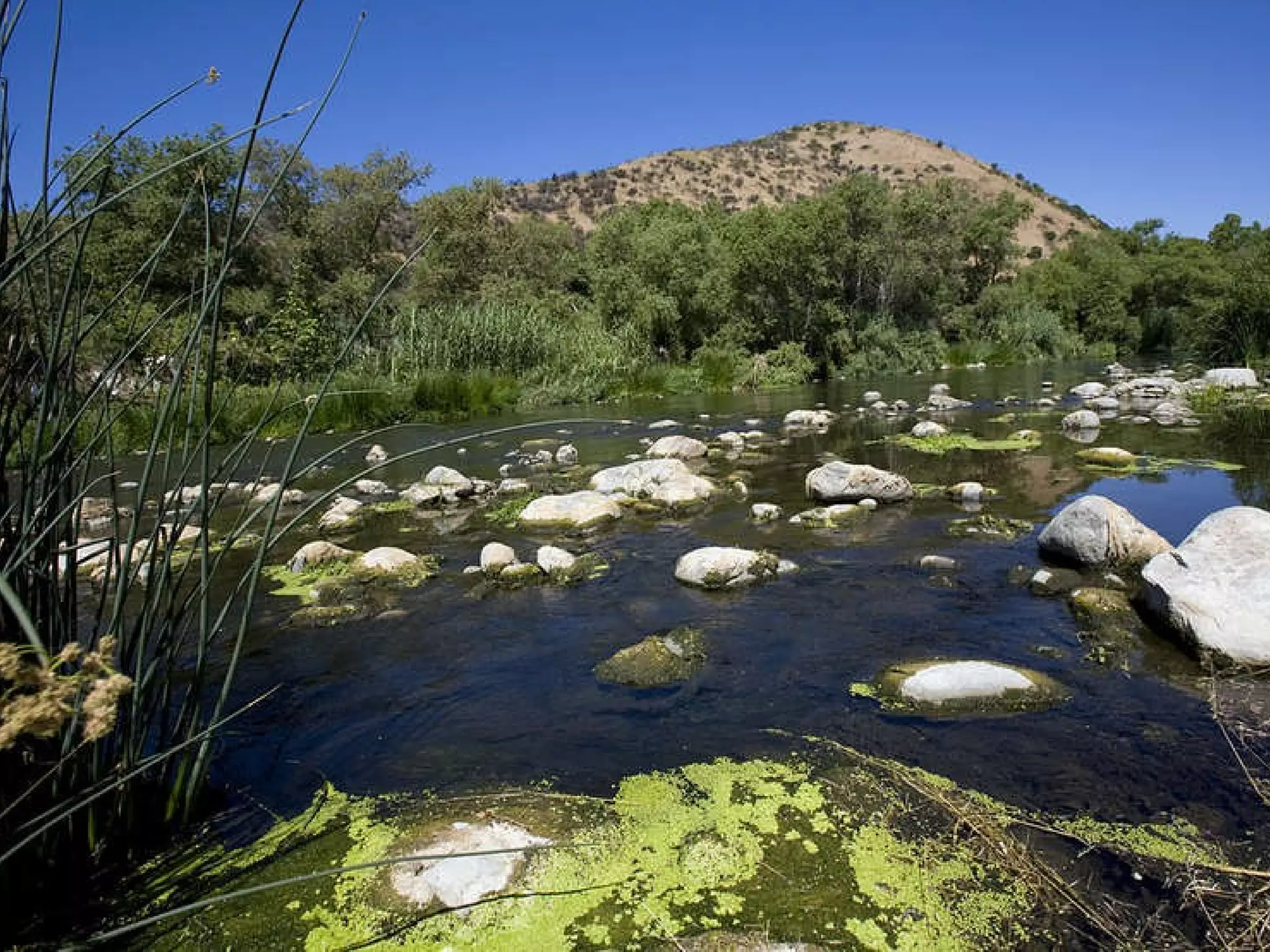 The Glendale Narrows Los Angeles River in the Los Feliz area (Griffith Park on left) 