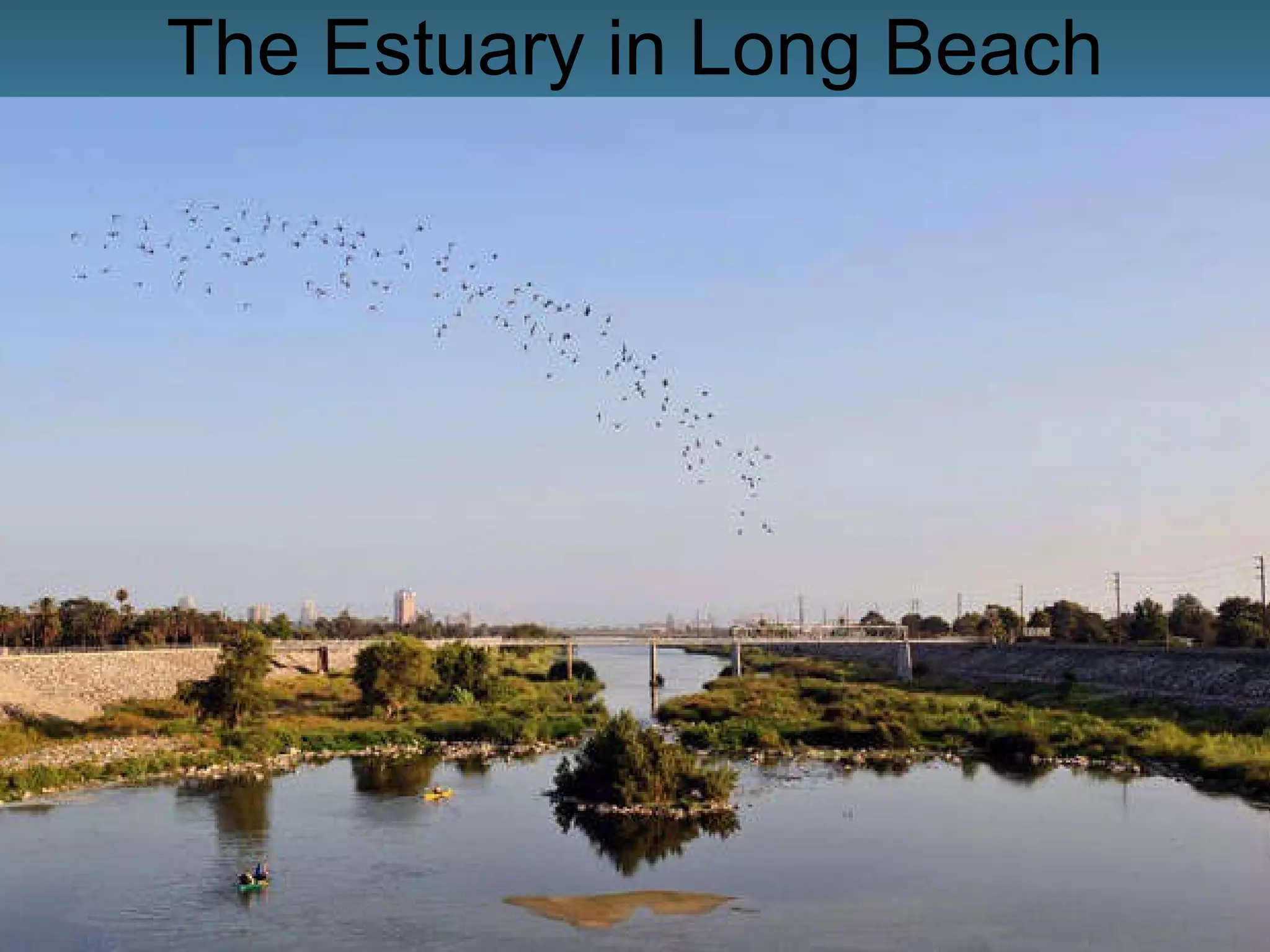 The Estuary in Long Beach Los Angeles River Estuary at Willow Street in Long Beach 