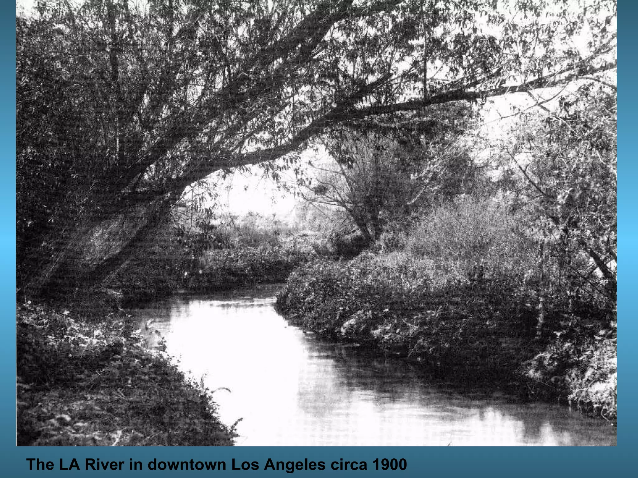 The LA River in downtown Los Angeles circa 1900 