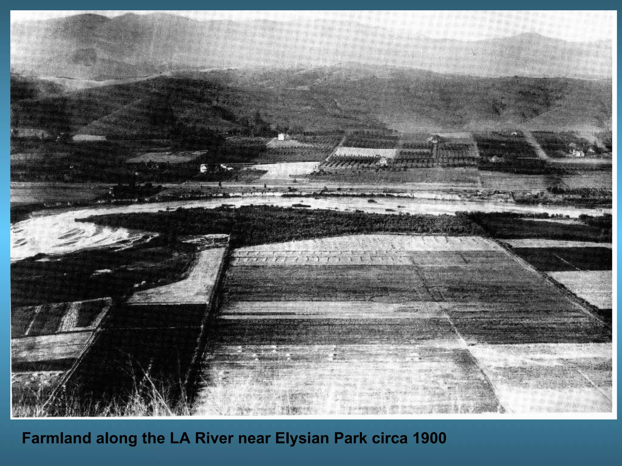 Farmland along the LA River near Elysian Park circa 1900 