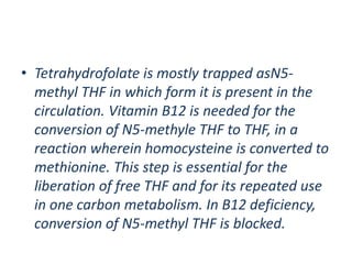 • Tetrahydrofolate is mostly trapped asN5-
methyl THF in which form it is present in the
circulation. Vitamin B12 is needed for the
conversion of N5-methyle THF to THF, in a
reaction wherein homocysteine is converted to
methionine. This step is essential for the
liberation of free THF and for its repeated use
in one carbon metabolism. In B12 deficiency,
conversion of N5-methyl THF is blocked.
 
