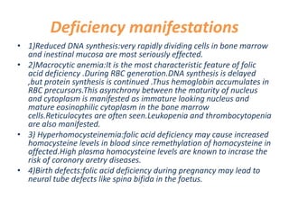 Deficiency manifestations
• 1)Reduced DNA synthesis:very rapidly dividing cells in bone marrow
and inestinal mucosa are most seriously effected.
• 2)Macrocytic anemia:It is the most characteristic feature of folic
acid deficiency .During RBC generation.DNA synthesis is delayed
,but protein synthesis is continued .Thus hemoglobin accumulates in
RBC precursors.This asynchrony between the maturity of nucleus
and cytoplasm is manifested as immature looking nucleus and
mature eosinophilic cytoplasm in the bone marrow
cells.Reticulocytes are often seen.Leukopenia and thrombocytopenia
are also manifested.
• 3) Hyperhomocysteinemia:folic acid deficiency may cause increased
homocysteine levels in blood since remethylation of homocysteine in
affected.High plasma homocysteine levels are known to incrase the
risk of coronory aretry diseases.
• 4)Birth defects:folic acid deficiency during pregnancy may lead to
neural tube defects like spina bifida in the foetus.
 